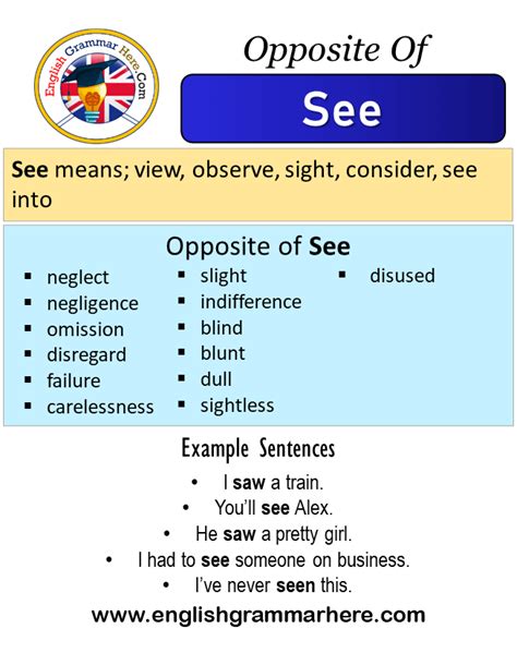 Opposite Of See Antonyms Of See Meaning And Example Sentences