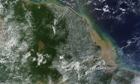 Huge Coral Reef Discovered At Amazon River Mouth Environment The