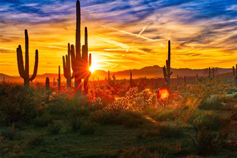 Best Places To Watch A Sunset In Phoenix Parks And Gardens