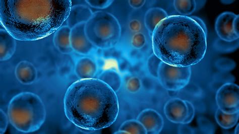 How Stem Cells Differ From Normal Body Cells