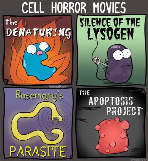 The Amoeba Sisters Biology Humor Biology Jokes Science Jokes