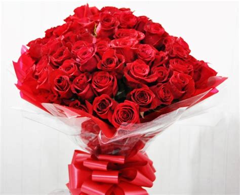 Maybe you would like to learn more about one of these? 50 Red Roses Gift Wrapped - Shields and Shields