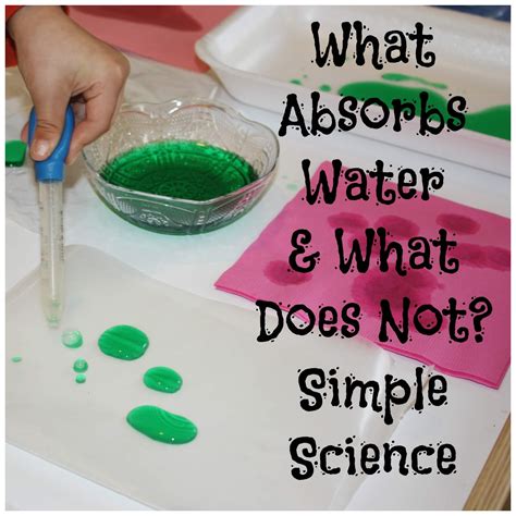 Easy Science Experiments For Preschoolers 21 Unique And Different