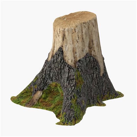 Tree Stump 10 Free Hq Online Puzzle Games On