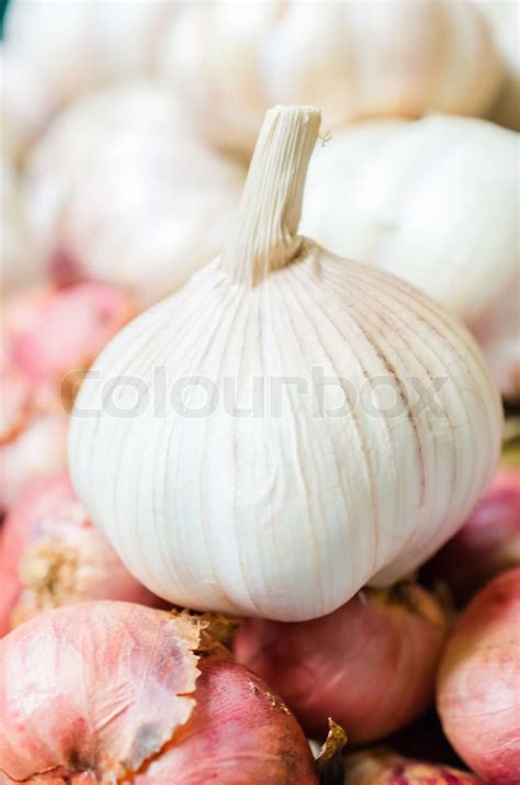 Garlic Stock Image Colourbox