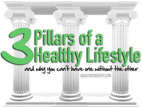 A Daily Dose Of Fit 3 Pillars Of A Healthy Lifestyle And Why You Can