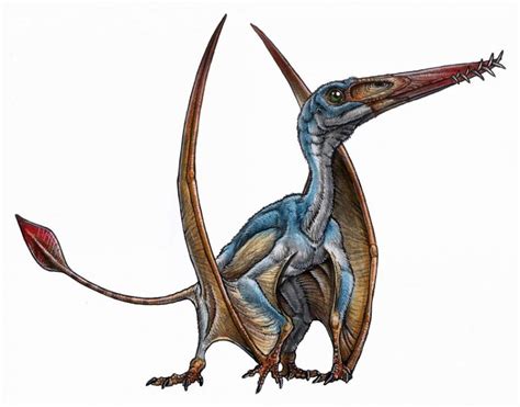 Scientists Unearth New Pterosaur Species In Patagonia