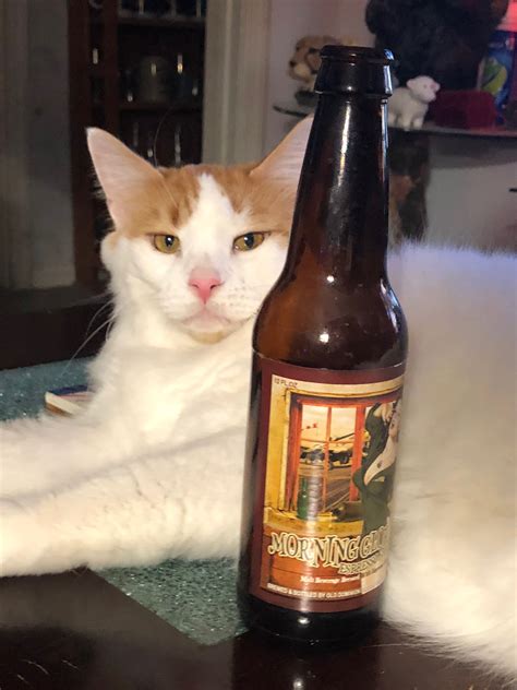 Pin By James Retling On Beer Cats Beer Bottle Beer Cats