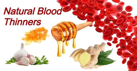 The Blood Thinning Diet Hematic Food