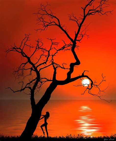 Sunset Silhouette Art Trees