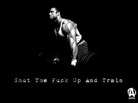 Muscle Wallpapers Animal Frank Mcgrath Stfu And Train Wallpaper