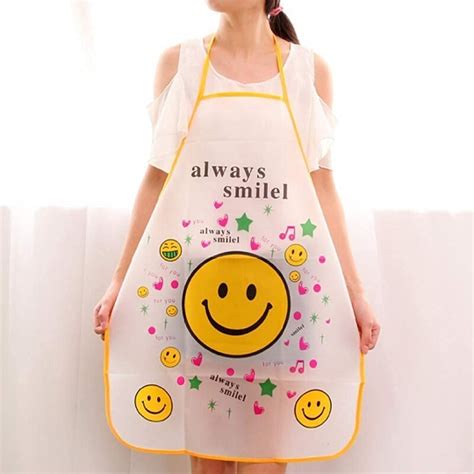 Multicolor Printed Pvc Waterproof Kitchen Apron At Rs 40 In Gurgaon
