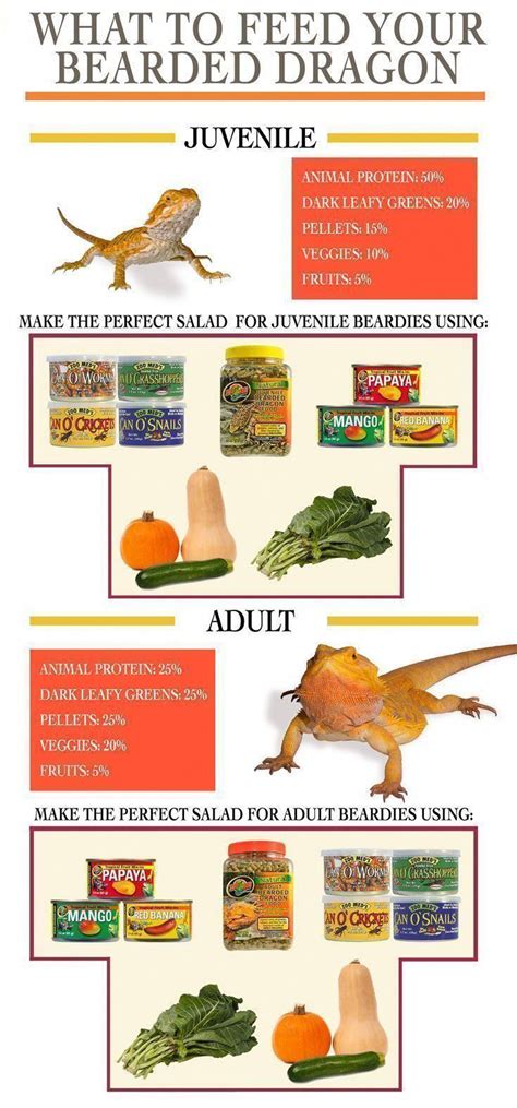Dont panic , printable and downloadable free greens for dragons bearded dragon food bearded dragon we have created for you. Proper Bearded Dragon Diet at different life stages. Blend ...