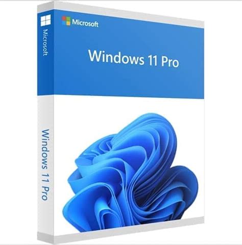 Buy Microsoft Windows 11 Professional Oem Dvd 64 Bit English Activation