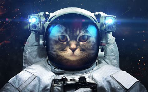 Space Cat Astronaut Cat