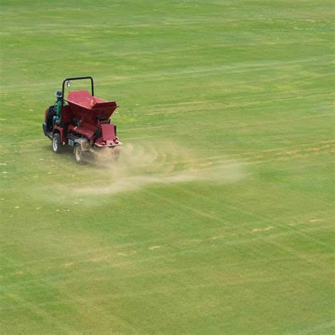 It is a common practice on golf courses to add a thin topdressing is a sand or prepared soil mix applied to the surface of the lawn. 70/30 Top Dressing - Soil & Lawn Top Dressing | Green-tree