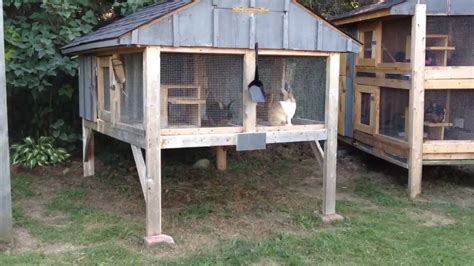 How To Build A Outdoor Rabbit Hutch Encycloall