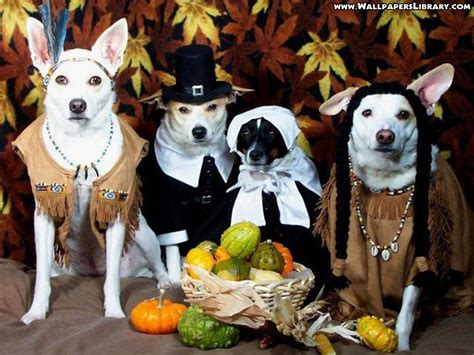 Thanksgiving Puppy Wallpapers We Have 72 Amazing Background Pictures