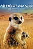 Meerkat Manor: The Story Begins Pictures - Rotten Tomatoes