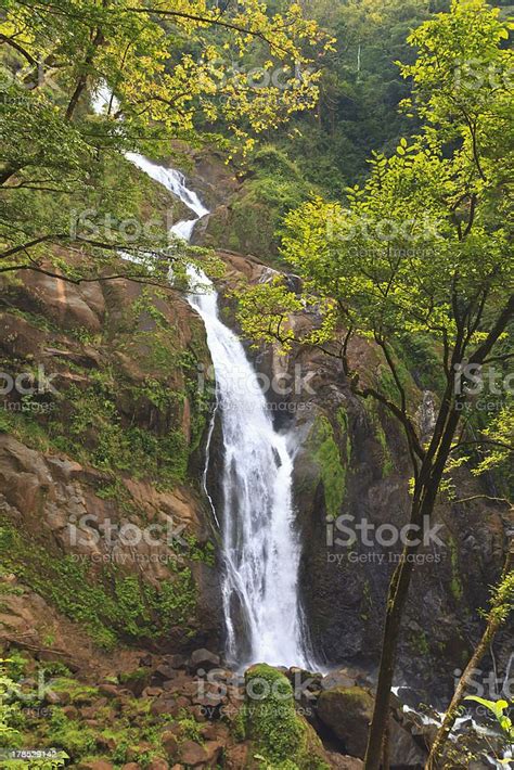 Costa Rican Rainforest Waterfall Stock Photo Download Image Now