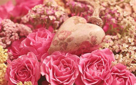 4k 5k 6k Roses Closeup Pink Color Petals Drops Hd Wallpaper