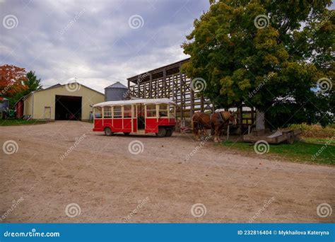 Horse Walking Car Vintage Transport Attraction Carriage With Two