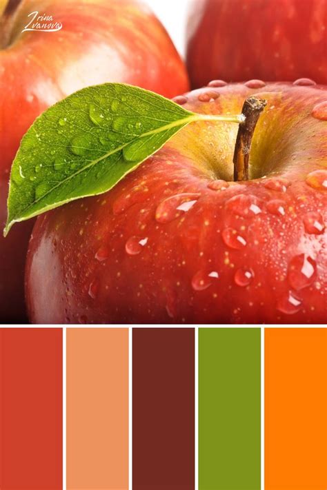Color Palette Combinations Schemes Aesthetic Colors