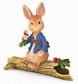 ‘Peter Rabbit’s Christmas Tale,’ on Nickelodeon - The New York Times