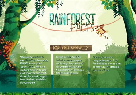 Infographic Why Are Rainforests So Important