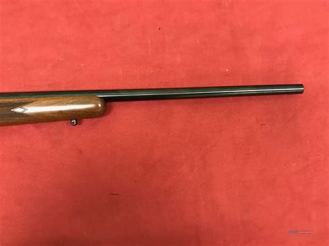 Cz 527 American 22 Hornet For Sale At 974027044