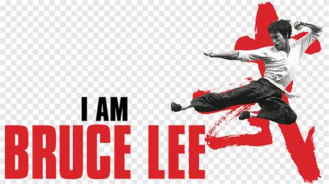 Bruce Lee Flying Kick Logo