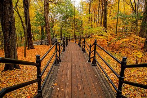 Canada Fall Autumn · Free photo on Pixabay