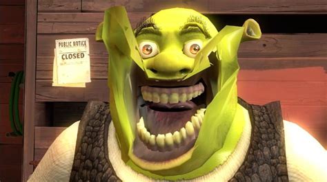 37 Best Shrek Images On Pinterest Shrek Awesome Stuff And Dankest Memes