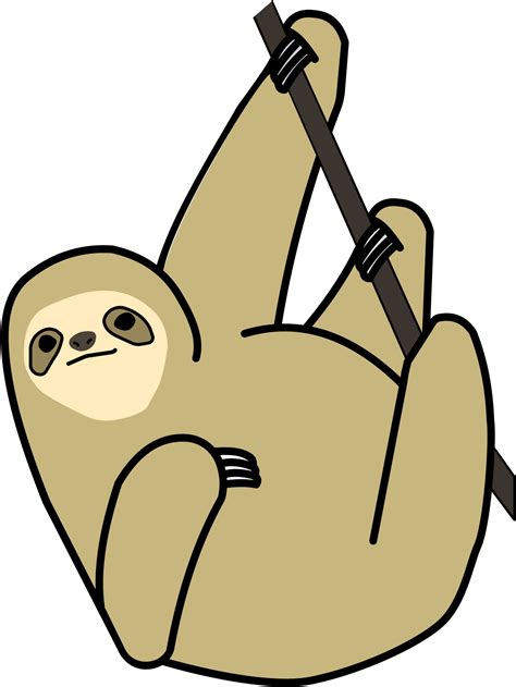 Sloth Png Transparent Image Download Size 1436x1913px