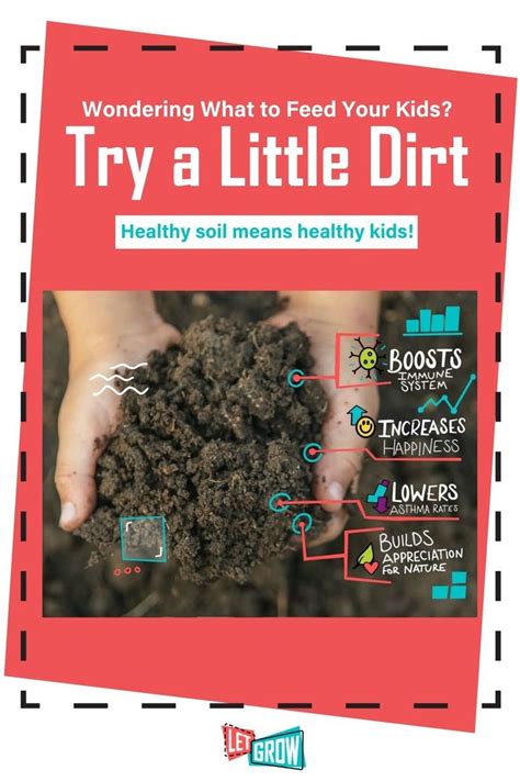 Wondering What To Feed Your Kids Try A Little Dirt Happy Hormones