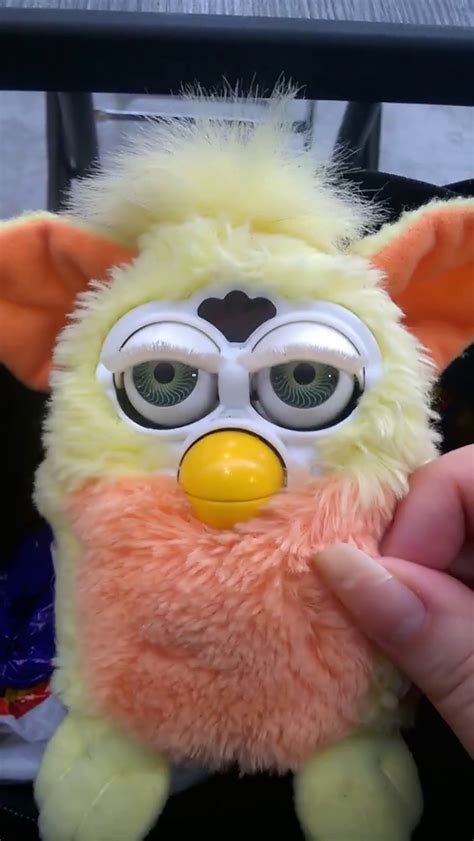 Categoryunofficial Furbys Official Furby Wiki Fandom