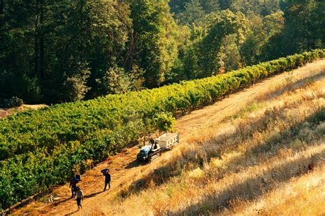 California Wine Country Places To Go In Napa Valley Fortune