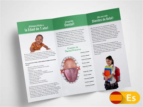 Pediatric Dentist Brochures First Dental Visit Pediatric Dentistry