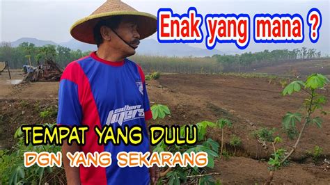 Ini siang panas banget mana dari tadi kerjaan gue cuma refresh tab. Sahdunya Warga Bendo Sawo di Tempat Tinggal yang Baru ...