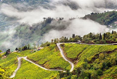 Places to visit in India in March – April | India Magical Trip Official