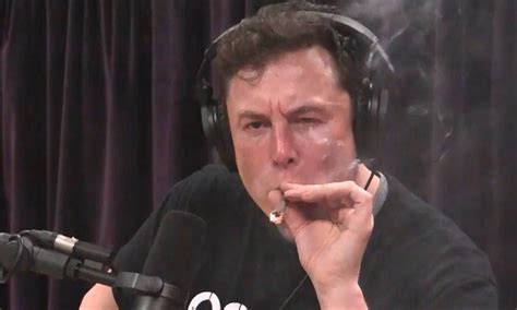 Musk Surpreende Ao Fumar Maconha Em Transmissão Ao Vivo No Youtube Jornal O Globo