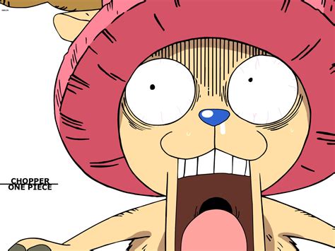 One Piece Chopper Wallpapers Wallpaper Cave