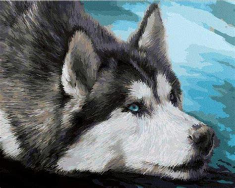 Husky Portrait Animals Paint By Number Paint By Numbers For Adult