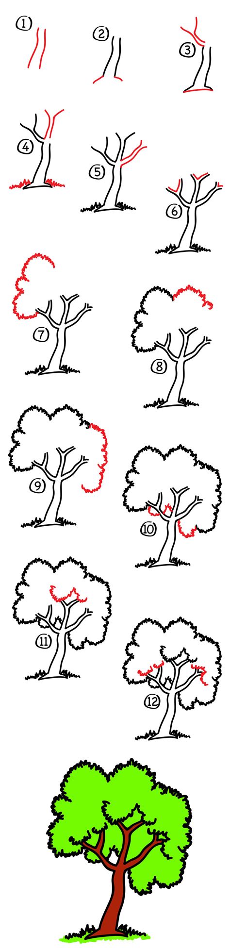 How To Draw A Tree Art For Kids Hub