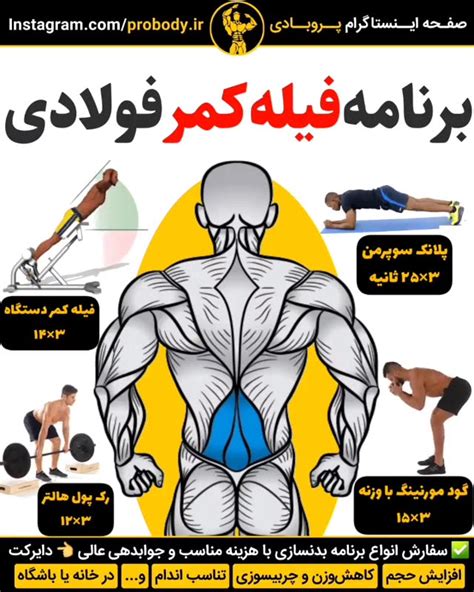 آموزش حرکت بدنسازی برای تقویت عضلات فیله کمر