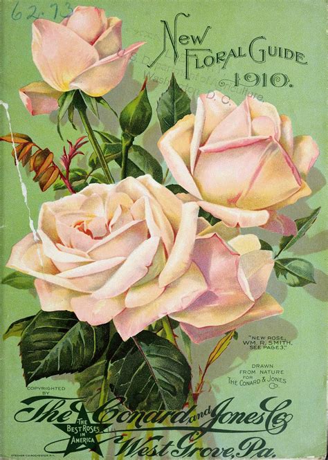 Vintage Antique Roses Posters61 Item Blisse Design Studio