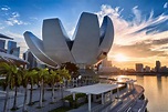 ArtScience Museum, Marina Bay, Singapore | Gokayu, Your Travel Guide