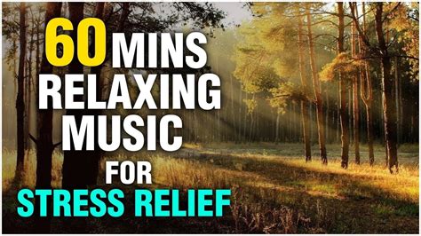 60 Minutes Relaxing Music For Stress Relief And Anxiety Music For
