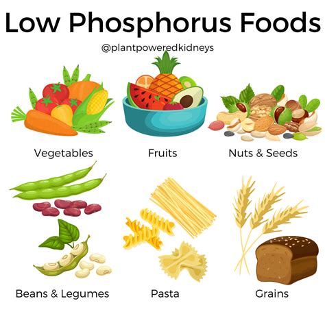Low Phosphorus Foods Your Guide To The Low Phosphorus Diet Plant