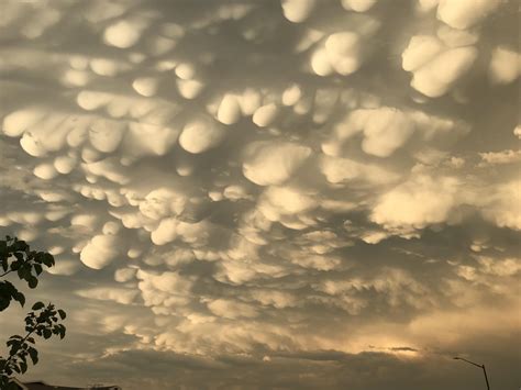 Anyone Else Catch These Mammatus Clouds This Evening Rfortcollins